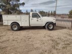 Thumbnail Photo 1 for 1985 Ford F250 2WD Regular Cab
